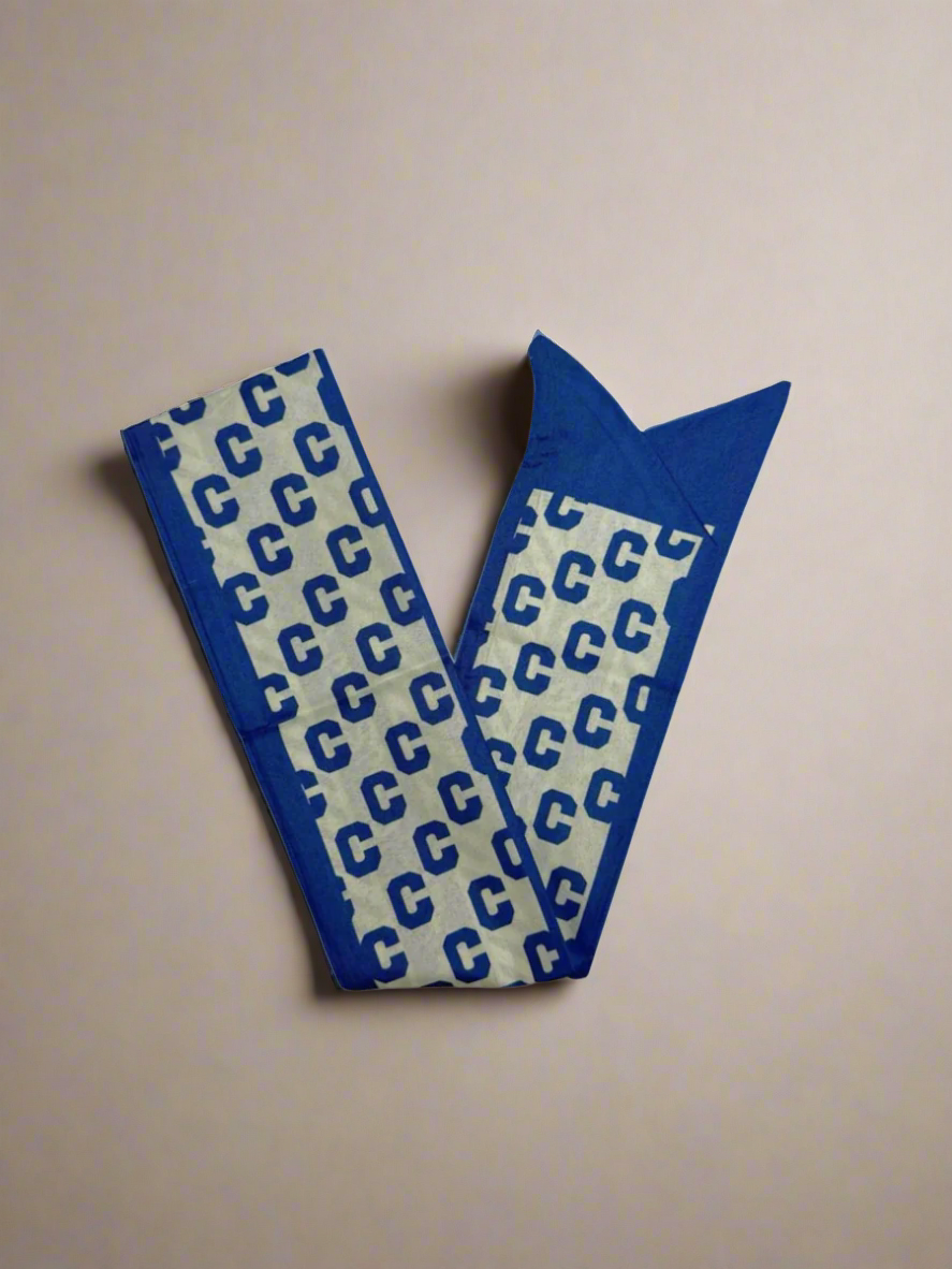 Blue C Bag Scarf