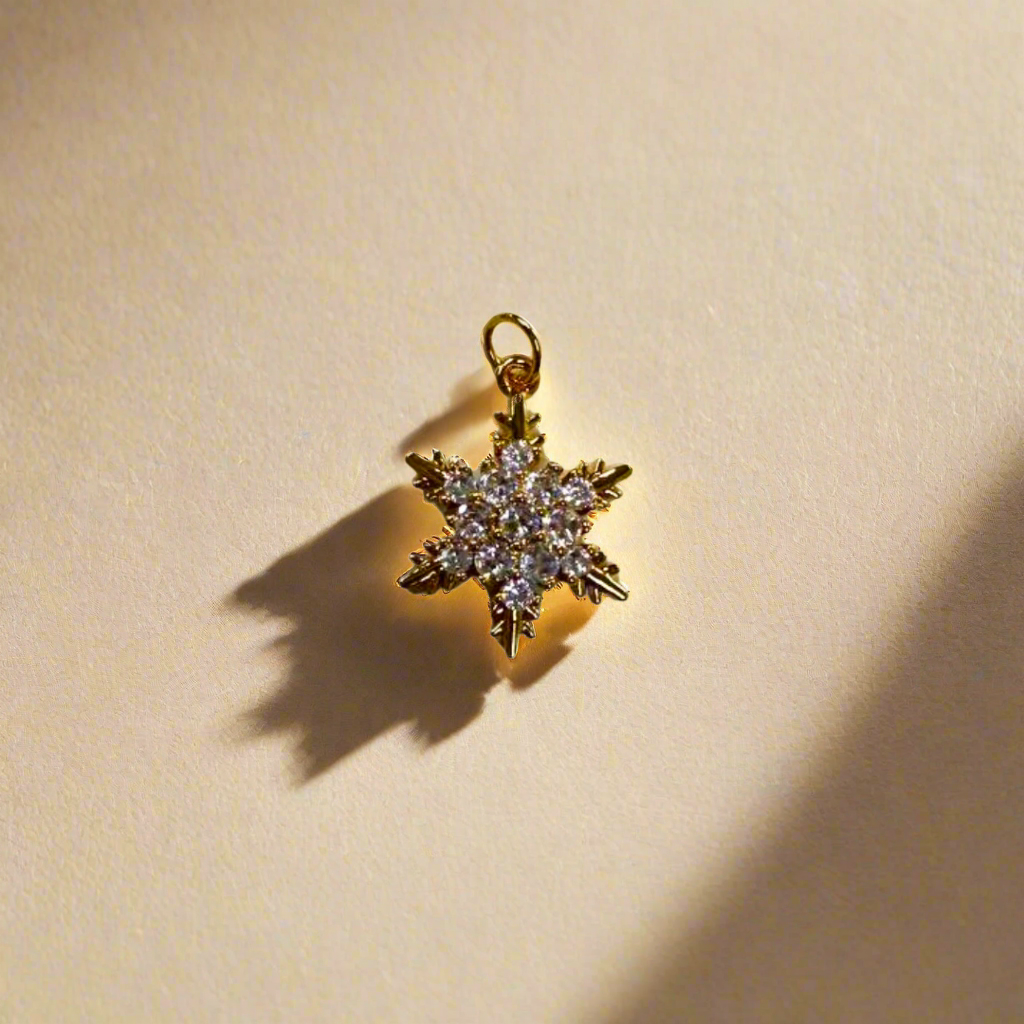 Exclusive Holiday Charms