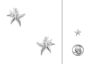 *Preorder* SeaLife A Duo of StarFish Post Back Earrings