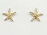 *Preorder* SeaLife Starfish Post Back Earring in Silver