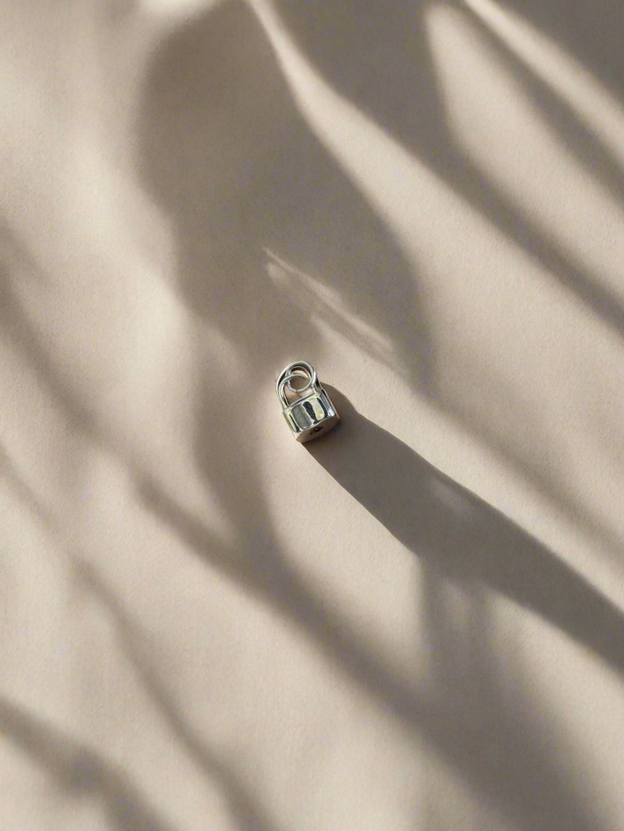 Dainty Lock Charm